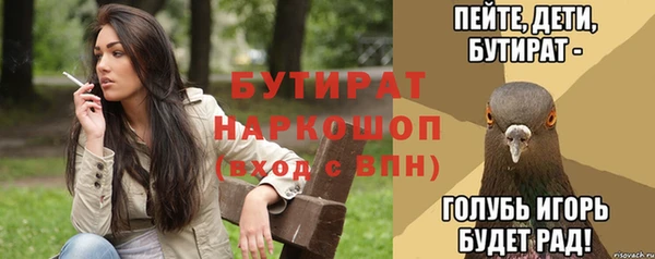 гидра Богородск