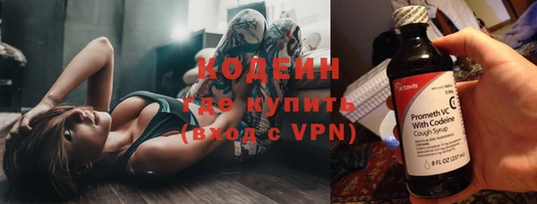 гидра Богородск