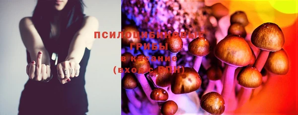 jwh Богданович