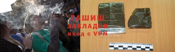 гидра Богородск