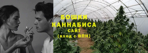 гидра Богородск