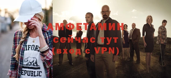 гидра Богородск