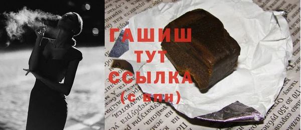 гидра Богородск