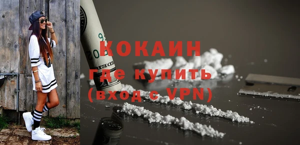 гидра Богородск
