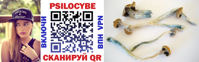 Купить  Маркс  Псилоцибиновые грибы мухоморы 